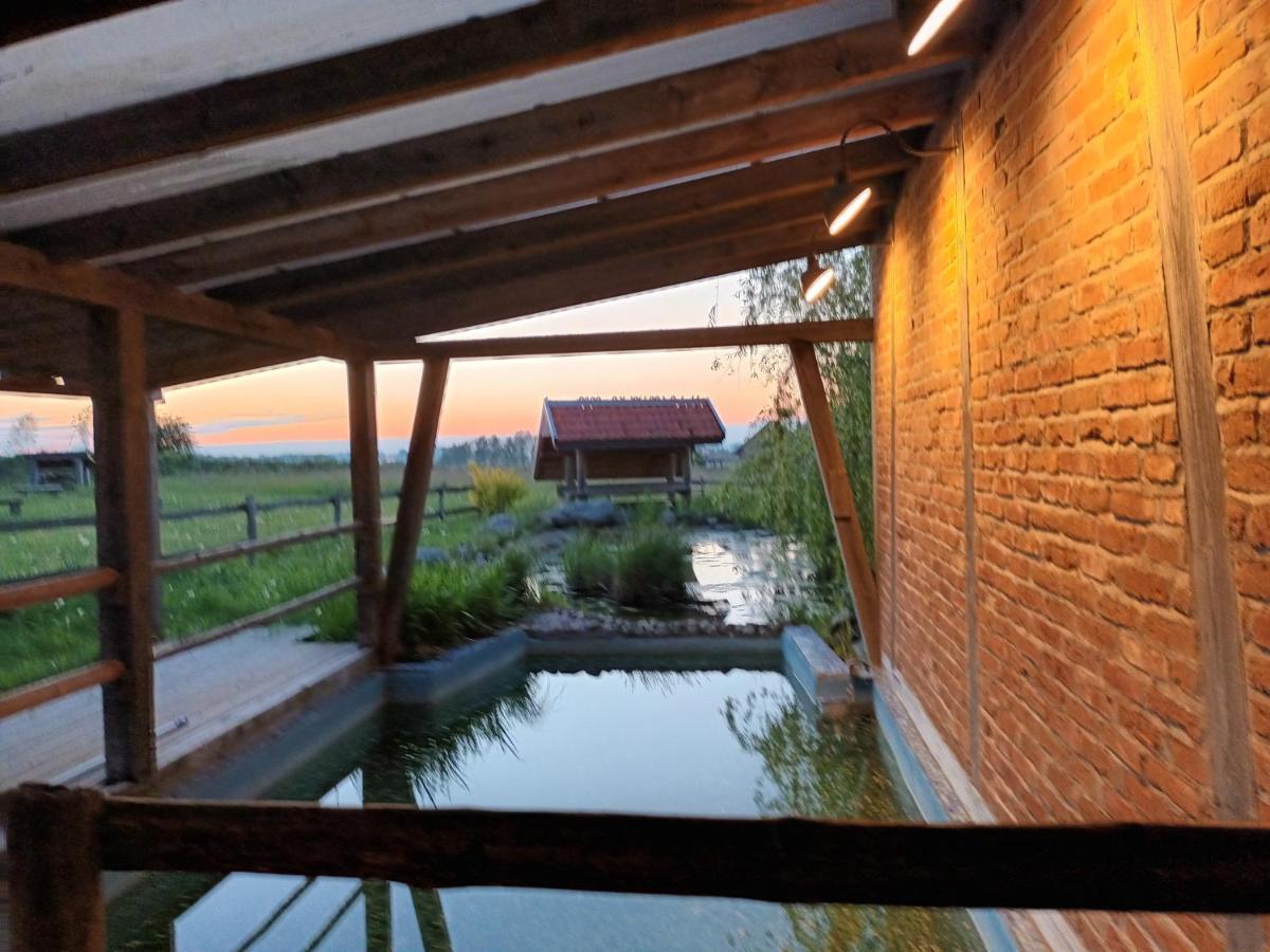Dom Habass Villa Zdory Ngoại thất bức ảnh